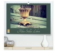 Altes Stilles Leben (hochwertiger Premium Wandkalender 2026 DIN A2 quer), Kunstdruck in Hochglanz: Stilleben - Morbides und Alltägliches nachhaltig wirkend fotografiert.