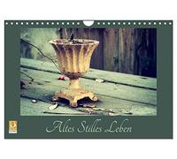 Altes Stilles Leben (Wandkalender 2026 DIN A4 quer), CALVENDO Monatskalender: Stilleben - Morbides und Alltägliches nachhaltig wirkend fotografiert.