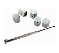 ALTIUM 707055 Custodia antifurto tappi valvola