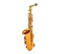 Alto Mib Tune Sassofono Ottone Oro Rosa Strumento Musicale Mi Bemolle Sax Con Custodia Accessori