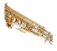 Alto Mib Tune Sassofono Strumento Musicale In Ottone Sax Laccato Oro Con Custodia Bocchino