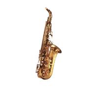 Alto Mib Tune Sassofono Strumento Musicale In Ottone Sax Laccato Oro Con Custodia Bocchino