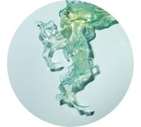 altone-invincible nature ep 12"