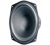 Altoparlante 8 pollici Visaton WS 20 E 80 W 8