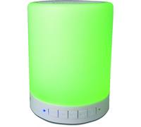 Altoparlante Bluetooth Portatile Denver Electronics BTL-30 3 W
