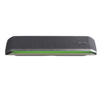 Altoparlante Bluetooth Portatile HP 77P41AA Nero