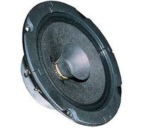VIS BG 13 P-8 - Altoparlante full-range BG 13P, 20 W, 8 Ohm