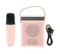 Altoparlante karaoke con illuminazione RGB e suono surround, set microfono wireless con effetti di modifica della voce e lunga durata della batteria,