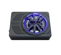 altoparlante per auto per un suono estremamente forte Subwoofer per auto amplificato DC12V da 10 pollici RMS120w con sistema audio amplificatore sotto il sedile