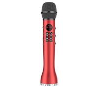 Altoparlante piccolo 3 in 1 Karaoke Handheld Canto Registrazione Altoparlanti senza fili con Bluetooth