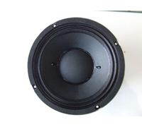 ALTOPARLANTE PROFESSIONALE WOOFER MID BASSO 25CM 10 POLLICI