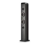 Altoparlanti per karaoke NGS Wireless Bluetooth 5.4 con base in legno nero
