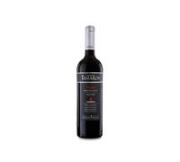 Altos de Tamarón Reserva 2020
