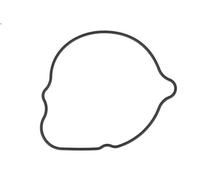 Altri elementi del corpo ATHENA S410210024053 per Honda CBR 0.6 2004-2004