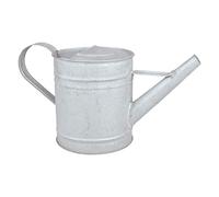 Altzink annaffiatoio da 0,8 litri, robusto annaffiatoio in acciaio al carbonio zincato, design vintage, 24,5 x 10 x 12,5 cm, per interni ed esterni