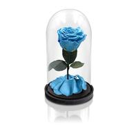 Aluisi Fiori - Rosa La Bella e La Bestia Celeste - Campana di Vetro - Base in Legno Nero - Senza LED