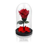 Aluisi Fiori - Rosa La Bella e La Bestia Rossa - Rosa Rossa in Campana di Vetro - Base in Legno Nero Senza LED - Rosa Stabilizzata Ideale per San Valentino, Anniversario e Compleanno.