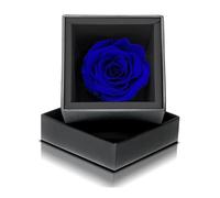 Aluisi Fiori - Rosa Stabilizzata Blu - Cofanetto Nero - fiore eterno singolo ideale per anniversario, compleanno, laurea, San Valentino, festa della mamma o per regalo ad un amico o amica.