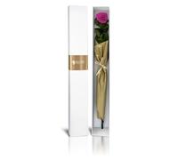 Aluisi Fiori - Rosa Stabilizzata con Gambo Fucsia - Simbolo di Seduzione e Intelligenza