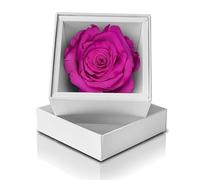 Aluisi Fiori - Rosa Stabilizzata Fucsia in Elegante Cofanetto Bianco - Simbolo di Seduzione e Intelligenza