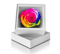 Aluisi Fiori - Rosa Stabilizzata Multicolore in Elegante Cofanetto Bianco - Simbolo di Eclettismo e Arte