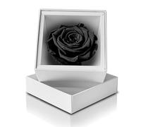 Aluisi Fiori - Rosa Stabilizzata Nera - Cofanetto Bianco - Rosa Singola eterna Adatta per Anniversario, Compleanno, San Valentino o Come Decorazione Floreale Particolare ed Elegante.