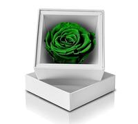 Aluisi Fiori - Rosa Stabilizzata Verde - Cofanetto Bianco - rosa singola eterna perfetta per anniversario, compleanno, matrimonio, festa della mamma o come decorazione floreale moderna ed elegante.