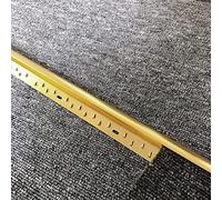 Aluminum Carpet Edge Trim - Cuttable Transition Strip with Screws for Rugs(Gold)