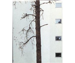 Alvar Aalto: Technology and Nature