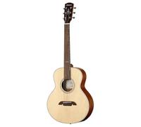 Alvarez LJ2E Chitarra Acustica con Borsa