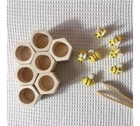 Alveare Sostenibile, Educazione Scientifica, Giocattoli per L'apprendimento,