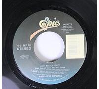 ALVIN AND THE CHIPMUNKS - ALVIN AND THE CHIPMUNKS 45 RPM ACHY BREAKY HEART / I AIN'T NO DANG CARTOON