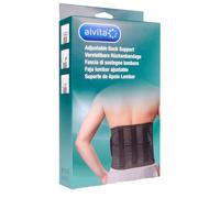 ALVITA FASCIA LOMBARE 2