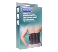 ALVITA FASCIA LOMBARE 2