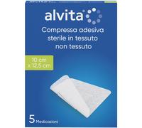 Alliance Healthcare GARZA COMPRESSA ADESIVA ALVITA TNT 10X12,5CM 5 PEZZI