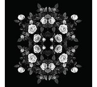 Alyson Fennell Tiny Rose Bombastic Stampa su Tela, Poliestere, Multicolore, 40 x 40 cm