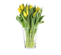 Alyssa Vaso per Fiori in Vetro - Vasi Trasparenti per Orchidee e Tulipani, ⌀ 14.2 cm, Moderni per Decorazioni Casa