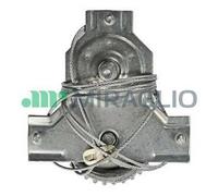 Alzacristallo Iveco Daily OM GRINTA 1 serie MI 30-138