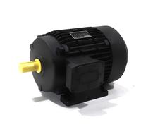 AM112M4/6B3 Lafert 3100 Watt = 3,1 kW non standard or <0,75kW or >35 2-spe...