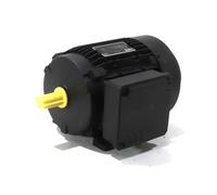 AM80ZAA2/8B3 AEG IE1 = standard = EFF2 2-speed motor