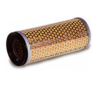 Ama Filtro Aria a Secco di Ricambio per Trattori - Compatibile con Modelli Ferrari, Goldoni e Slanzi, Peso 290 g, Made in Italy