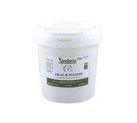 AMA GARLIC POWDER AGLIO IN POLVERE (1 KG)