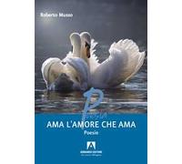 Ama l'amore che ama