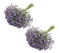 Ama ogni momento con fiori di gypsophila splendidamente realizzati 32 pezzi