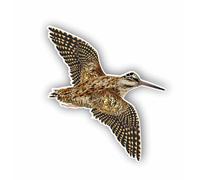 AMA SHOP Adesivo Sagomato Beccaccia in volo mod.2 |adatto per casco auto moto|Decalcomania|Passione Caccia