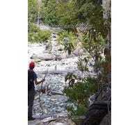 Ama todo a tu alrededor