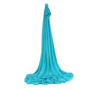 Amaca per Yoga Aereo Aerial Yoga Amaca Altalena Trapezio Tessuto Attrezzatura aerea Inversioni di seta Flessibilità Forza base Bodybuilidng(Sky Blue Fabric)