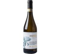 Amacos, De Sanctis, Lazio IGT, 2021