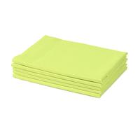 Amago 5 Panni in Microfibra per Vetri, 45 x 65 cm - Verde