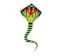 Amagogo Aquilone a Forma di Serpente, Giocattolo a Forma di Aquilone con Una Sola Linea, per Giocare all'aperto, in Giardino, per Principianti, 1mx0.8x8.2m